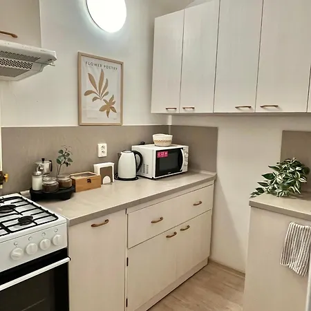 Rum i privatbostad Lea - Old Town